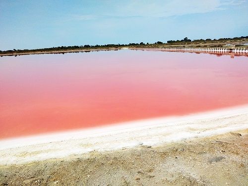 Salins du midi. Mar de sal