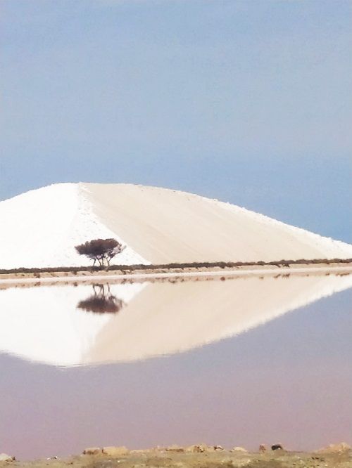 Montaña de sal, Salins du Midi
