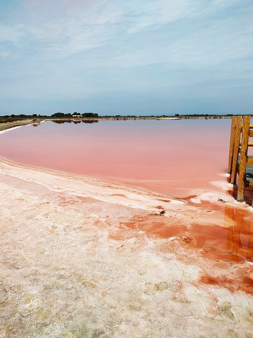 Salins du Midi, playa rosa
