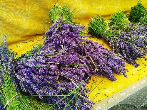 ramos lavanda fresca