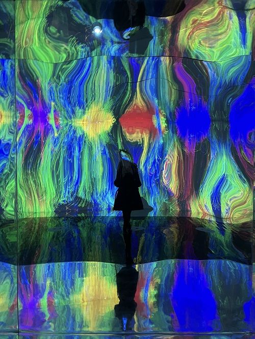 Expo las Arenas El Mundo de Van Gogh