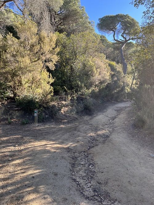 Circuito inclusivo. dolmen ca l'Arenes