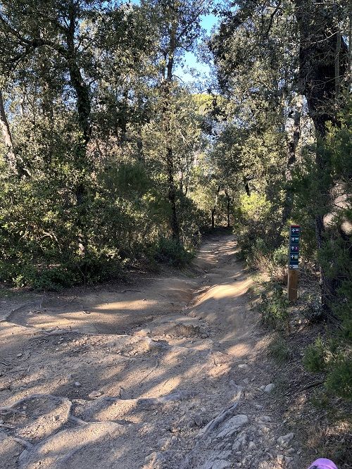 Excursión Montnegre i Corredor naturaleza