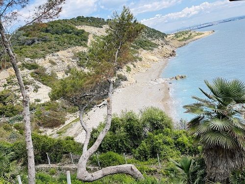 Mirador de Salou Mar i Pins