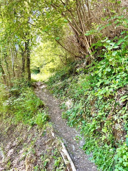 Camino en la Via Nicolau Berguedà