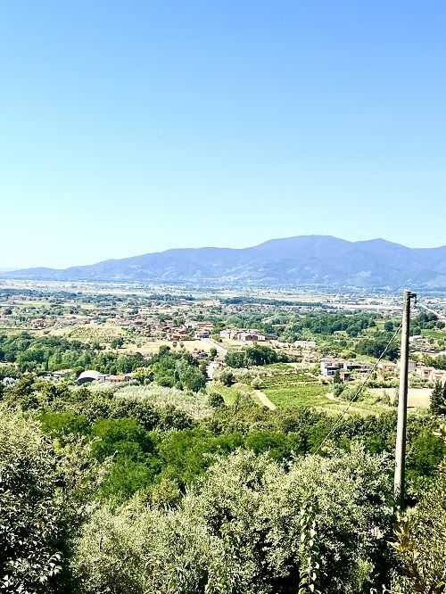 Vista Panorámica Montecarlo di Lucca