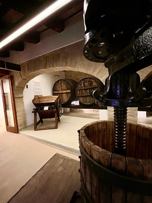 Bodega de malvasía. Bus a cegues