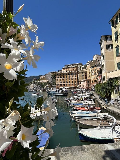 Puerto deportivo Camogli