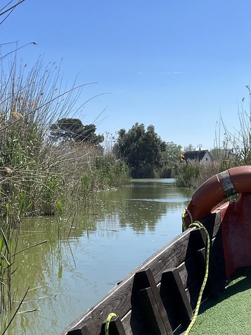 Paseo en Barca Rosa la Barquera i el Tonet,una de las cosas que hacer en el Parque Natural de la Albufera de Valencia