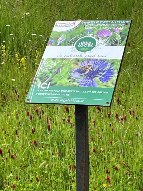 Jardín con biodiversidad Lascaux IV Nueva Aquitania Francia