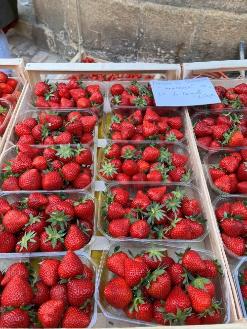 Fresas de la Dordoña
