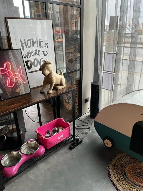 Hotel Moxy Pet Friendly
