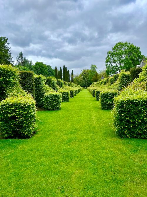 Paseo de los carpes en los jardines de Eyrignac