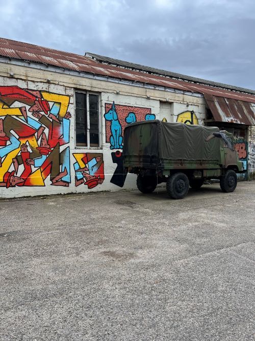 Street Art en ecosistema Darwin Burdeos