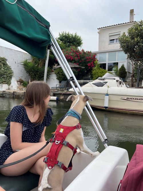 Paseo en Barco en los canales de Empuriabrava con perro