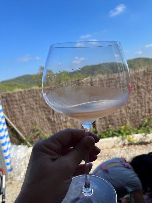 Cata de vino en el domini de Sant Pere