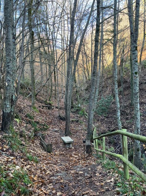 Font d'en Gurb. Sant Hilari Sacalm