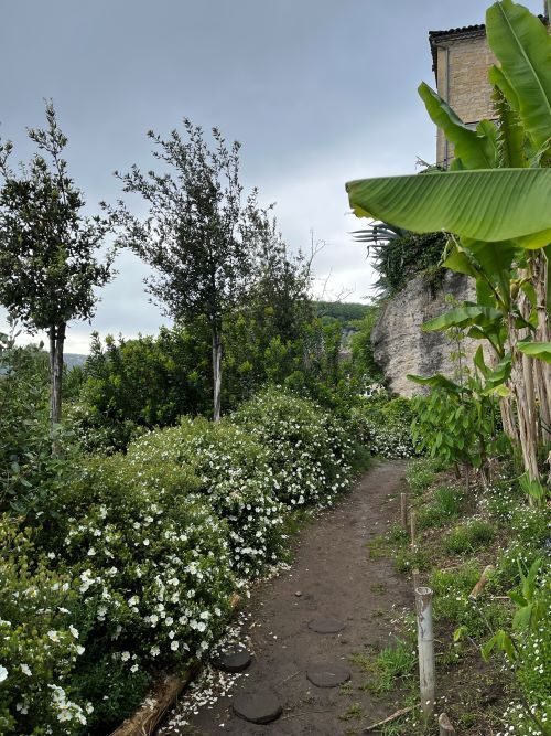 jardín exótico