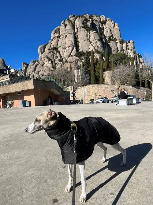 Montserrat con perro Turismo responsable