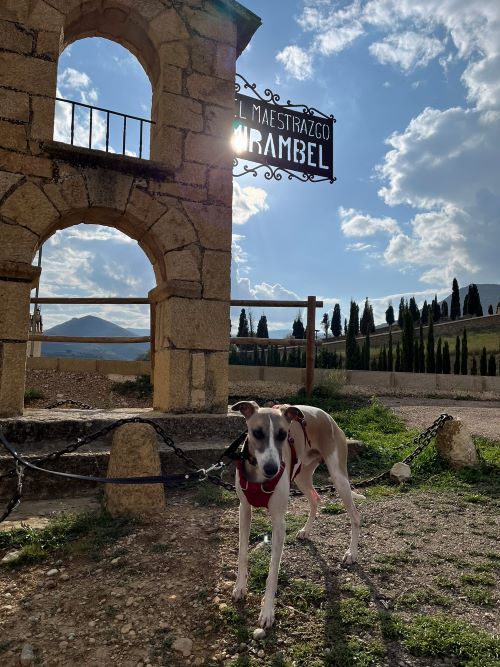 Descubre 7 pueblos bonitos del Maestrazgo en 1 día