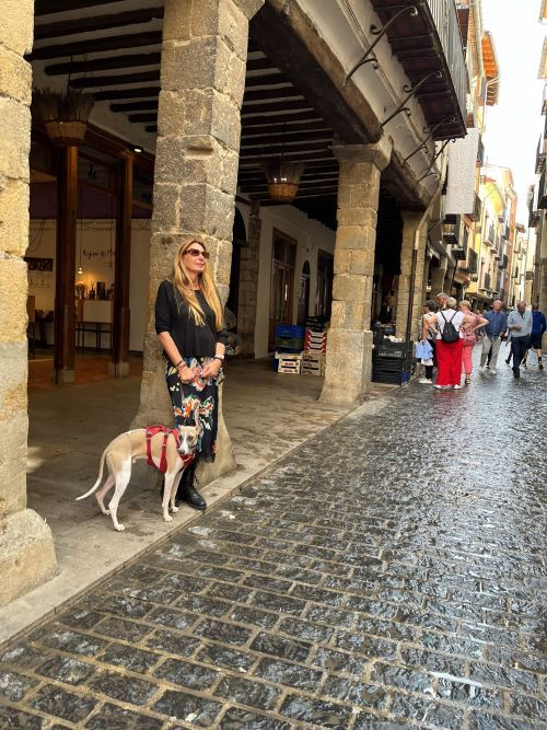 Morella