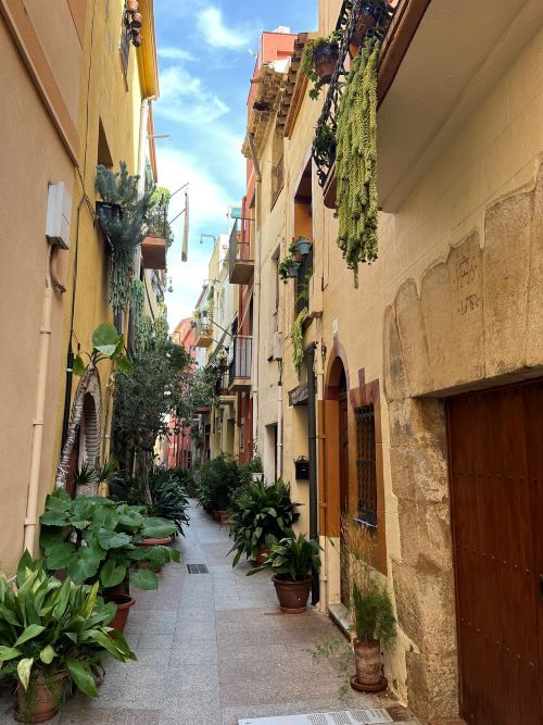 Visita teatralizada a la Vila de Cambrils