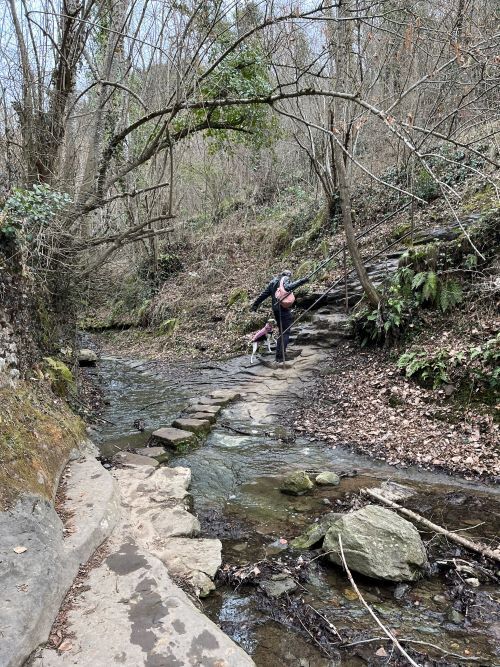 Arroyo en la ruta al salt de Sallent en Rupit