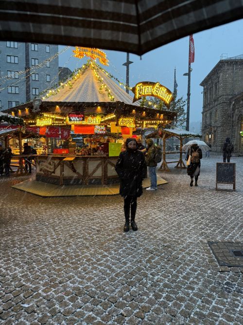 Mercado en la plaza de la estación de Mainz (Maguncia)