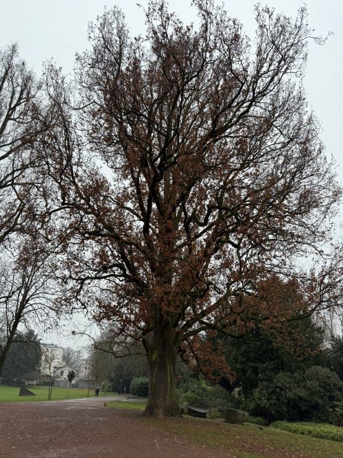 Kurpark Wiesbaden