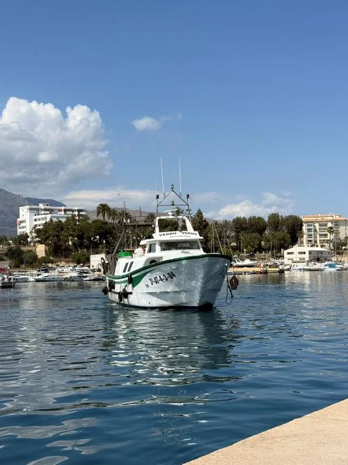 Llegada de los barcos de pesca al puerto de Villajoyosa en Alicante