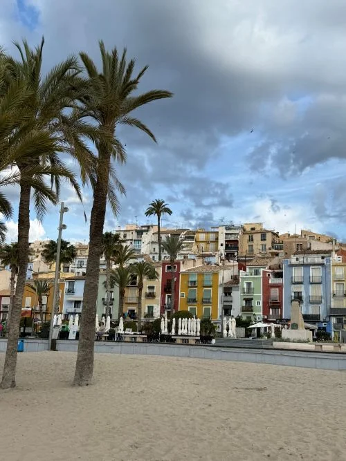 Paseo marítimo de Villajoyosa, se ve arena con palmeras y al fondo una hilera de casas en tonos amarillos, azules, rojos....