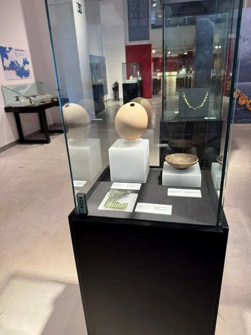 Vilamuseu, vitrina con un huevo de avestruz encontrado en un ajuar funerario
