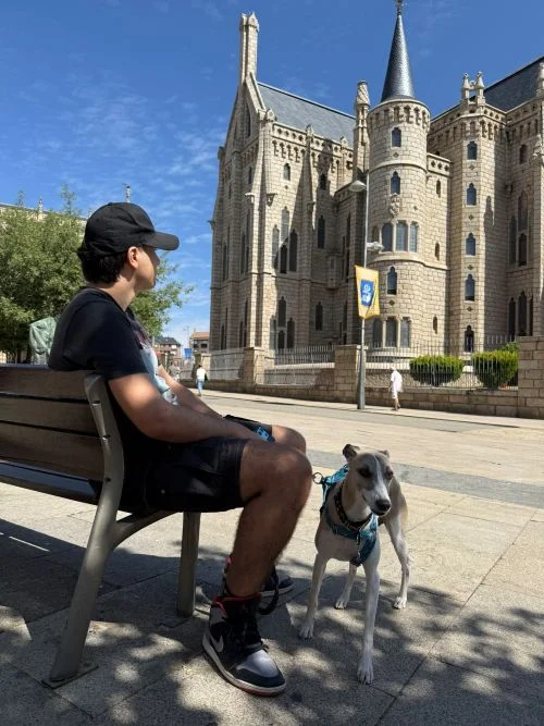 Astorga con perro. Vista al Palacio episcopal de Gaudí