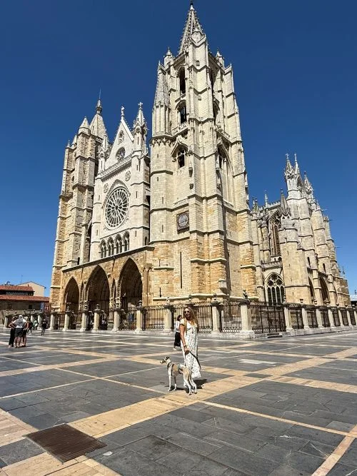 Vista de la catedral de León