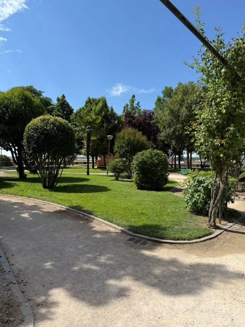 Jardin de la sinagoga