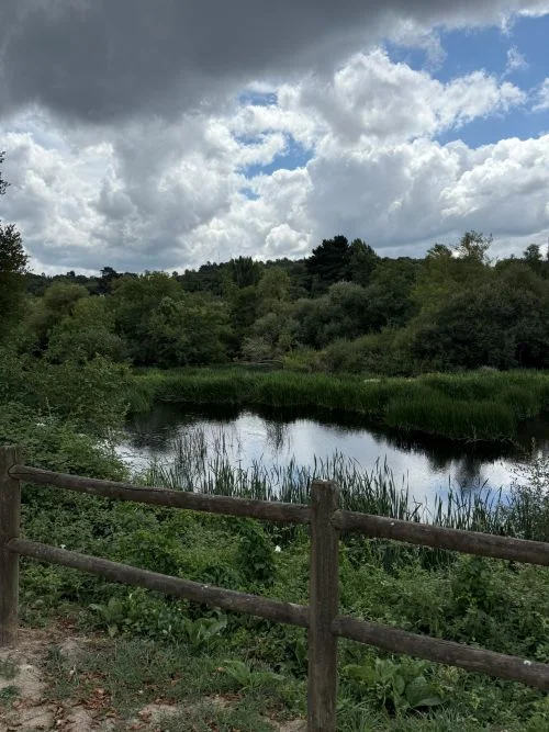 Parque do Miño, vistas al rio y la naturaleza