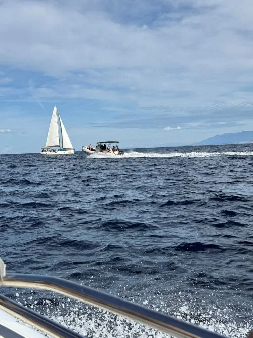 Excursió 4 joyas de Zadar, barco hundido y Túneles con Get Your Guide
