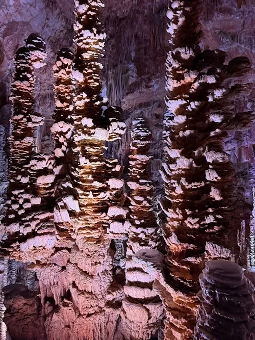 Grotte Aven-Armand, espectaculo natural en el recorrido por les gorges du tarn