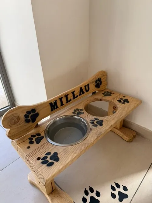  para perros en la Oficina de turismo de Millau, aveyron, occitania francia