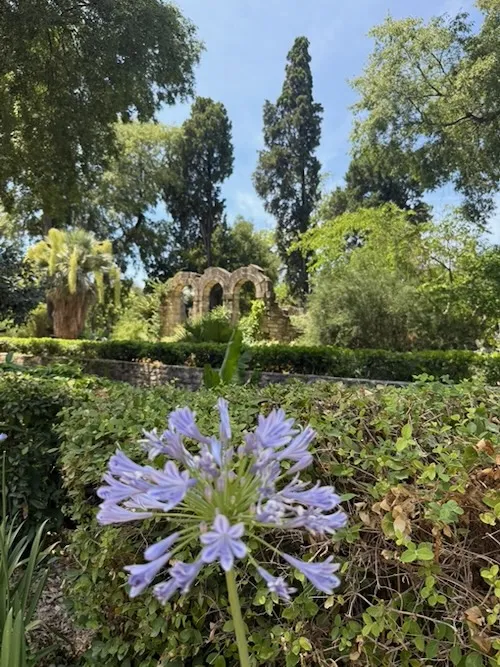 jardin de las plantas en Montpellier