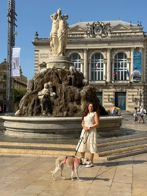 Plaza de la comedia Montpellier
